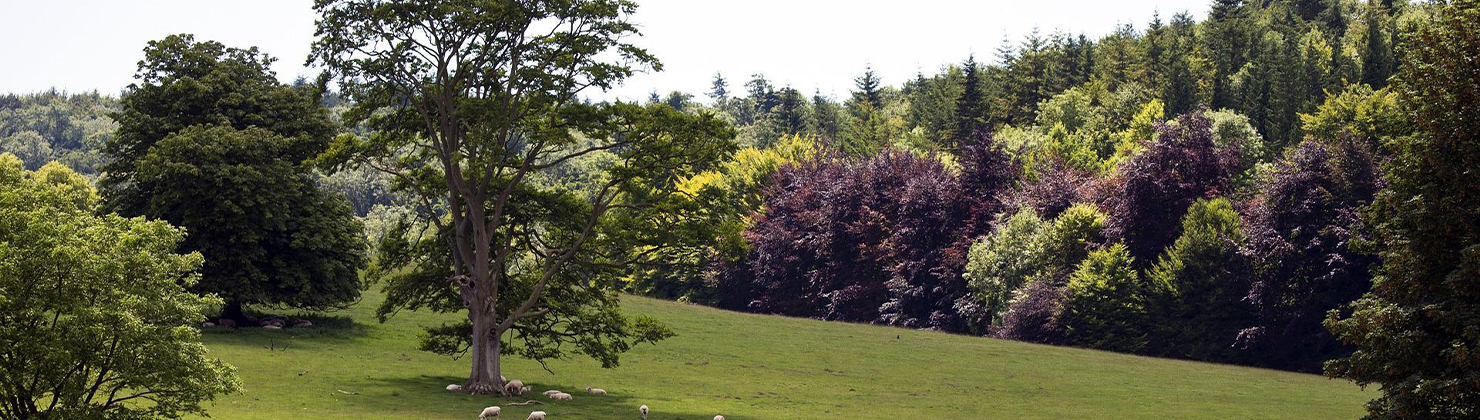 Finance opportunities with Arun District Council Hays UK