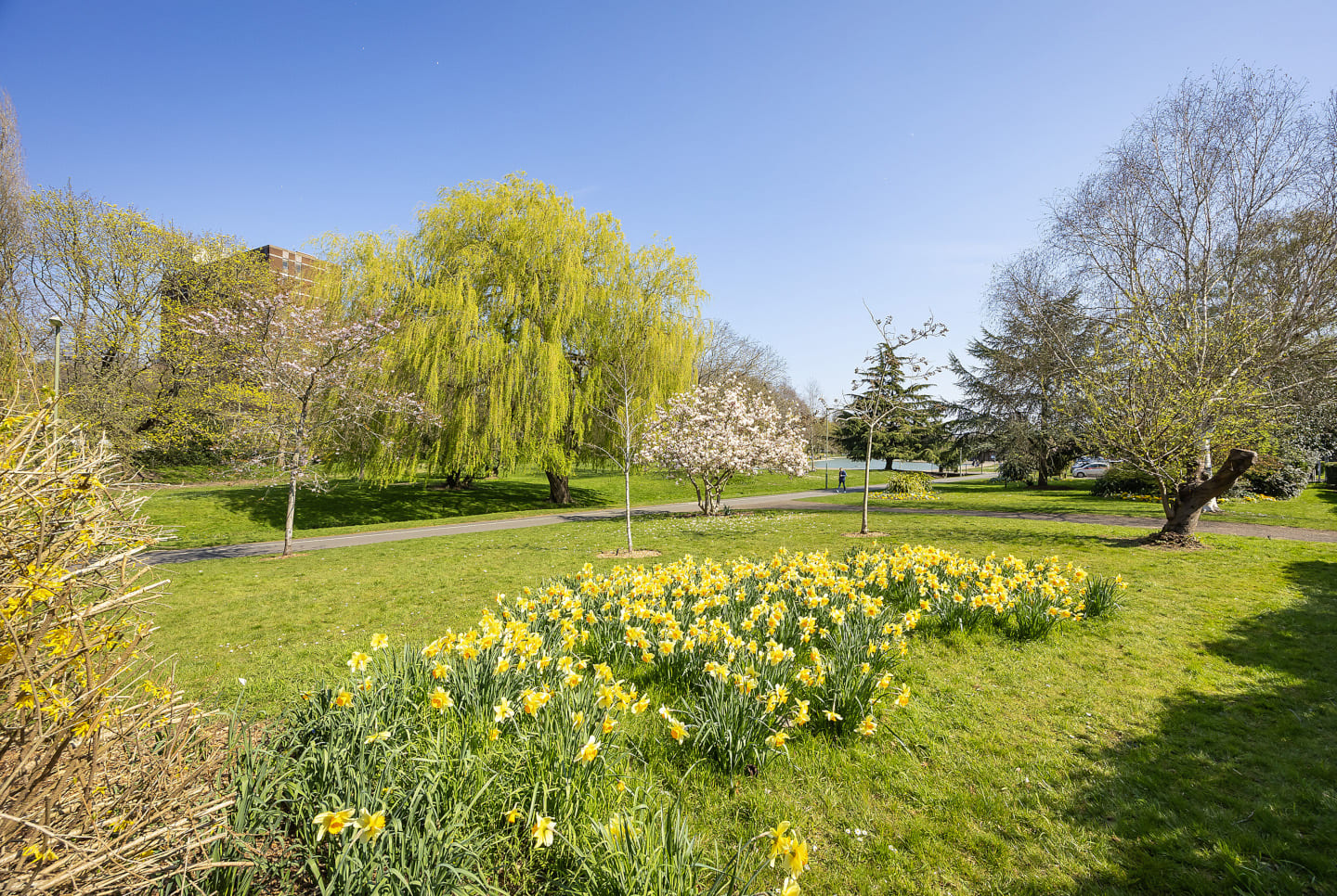 Eastrop Park